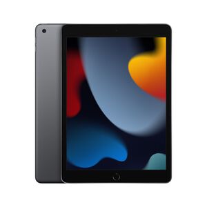 APPLE iPad 9th WIFI 256G(10.2)2021_MK2N3TA/A(灰色)